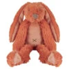 Happy Horse Knuffel Konijn Tiny Orange Rabbit Richie 28cm -Speelgoeds Korting Winkel image 1769