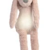 Happy Horse Knuffel Konijn Richie Old Pink Met Nachtlamp En Geluid 34cm -Speelgoeds Korting Winkel image 1803
