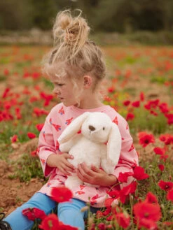 WWF Knuffel Robbert Rabbit Beige 29 Cm -Speelgoeds Korting Winkel image 1967