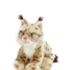 WWF Lynx Beige 23cm -Speelgoeds Korting Winkel image 2073
