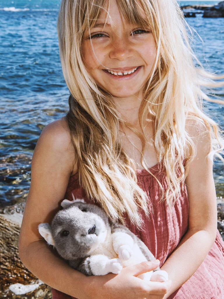 WWF Chinchilla 17cm 6 WWF Chinchilla 17cm - Afbeelding 4