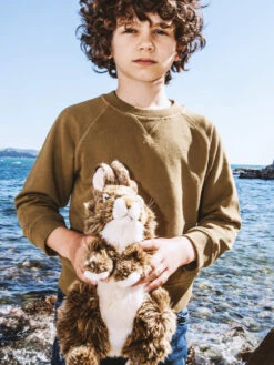 WWF Haas Brown 30cm -Speelgoeds Korting Winkel image 2098