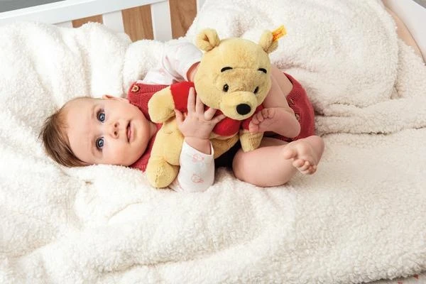 Steiff Knuffel Soft Cuddly Friends Disney Winnie The Pooh 4 Steiff Knuffel Soft Cuddly Friends Disney Winnie The Pooh - Afbeelding 2