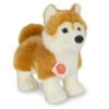 Hermann Teddy Knuffel Hond Shiba Inu Staand -Speelgoeds Korting Winkel image 2582