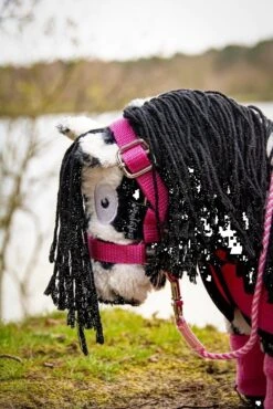 Crafty Ponies Fleecedeken Roze Set 4-delig -Speelgoeds Korting Winkel image 2668