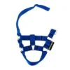 Crafty Ponies Halster Blauw 2 Crafty Ponies Halster Blauw -Speelgoeds Korting Winkel image 2669