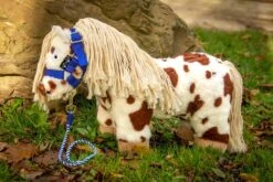 Crafty Ponies Halster Blauw -Speelgoeds Korting Winkel image 2671