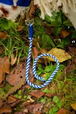 Crafty Ponies Halstertouw Blauw 17 Crafty Ponies Halstertouw Blauw -Speelgoeds Korting Winkel image 2684