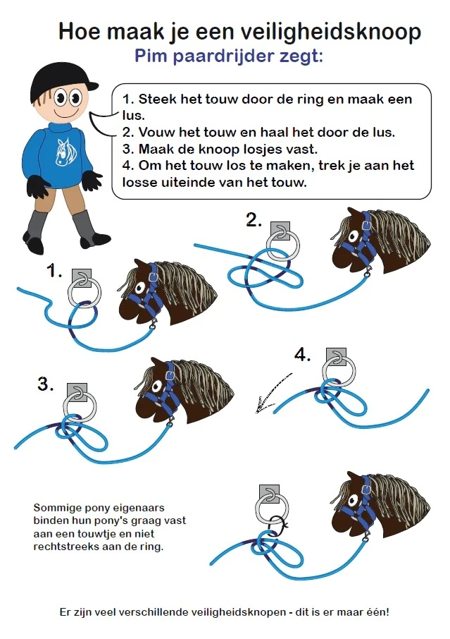 Crafty Ponies Halstertouw Blauw 11 Crafty Ponies Halstertouw Blauw - Afbeelding 9