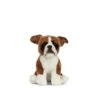 Living Nature Knuffel Hond Boxer Zittend 20 Cm 2 Living Nature Knuffel Hond Boxer Zittend 20 Cm -Speelgoeds Korting Winkel image 2766