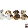 Living Nature Knuffel Hond Klein 1 Living Nature Knuffel Hond Klein -Speelgoeds Korting Winkel image 2787