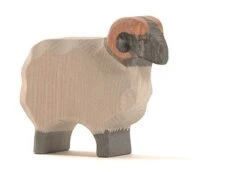 Ostheimer Schaap Ram Heide 11751