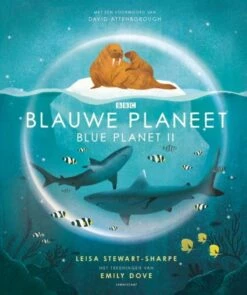 Lemniscaat Blauwe Planeet Blue Planet II