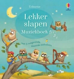 Uitgeverij Usborne Lekker Slapen Muziekboek