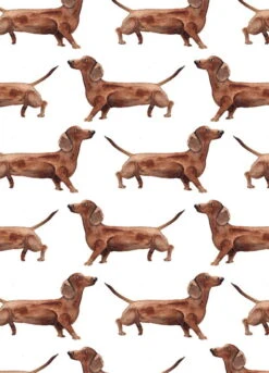 Fritsy Postkaart Teckels