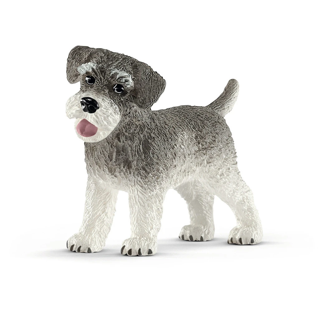 Schleich Hond Dwergschnauzer 13892 3 Schleich Hond Dwergschnauzer 13892