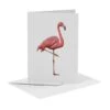 MiesToGo Wenskaart Flamingo -Speelgoeds Korting Winkel image 4285