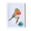 MiesToGo Wenskaart Roodborstje -Speelgoeds Korting Winkel image 4323