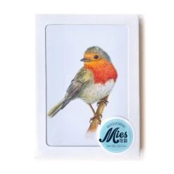 MiesToGo Wenskaart Roodborstje