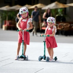 Micro Step Mini Micro Step Deluxe ECO Limited Edition 11 Micro Step Mini Micro Step Deluxe ECO Limited Edition -Speelgoeds Korting Winkel image 721